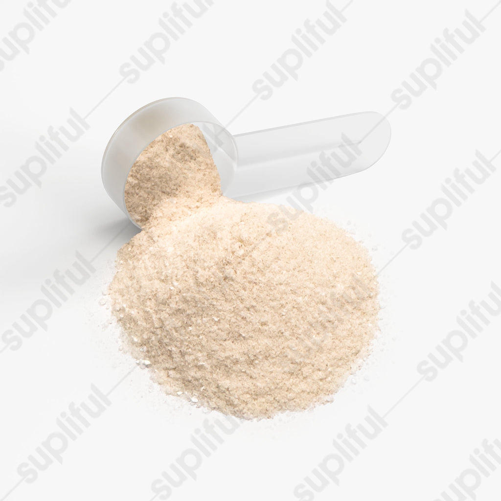 ENDURANCE FUEL Electrolytes (Lemonade)