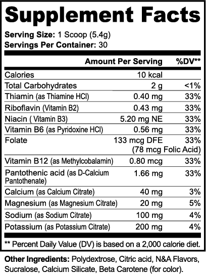 ENDURANCE FUEL Electrolytes (Lemonade)